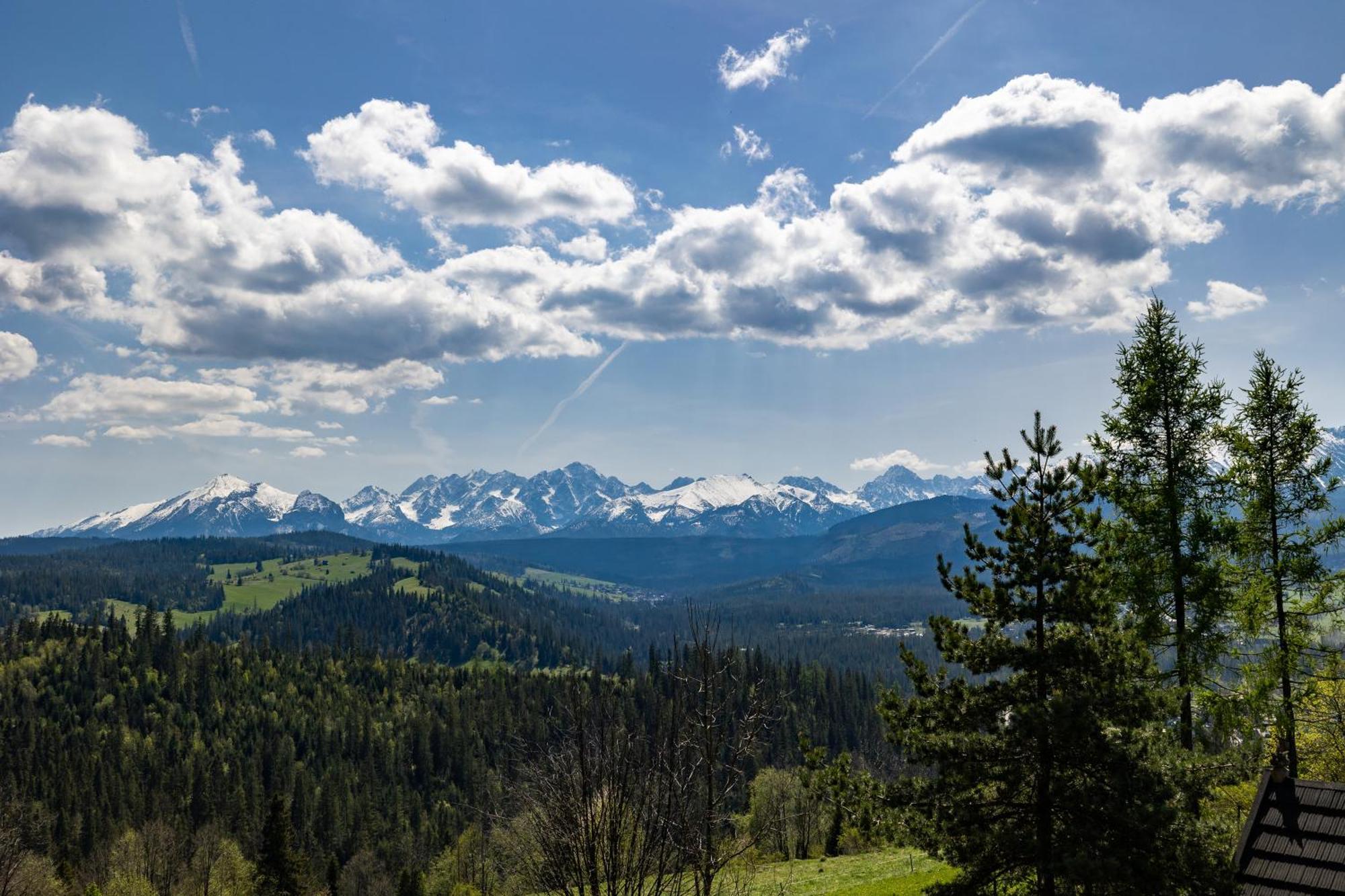 Willa Stolowe Biały Dunajec Exterior foto
